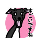 【ブラック4】1年中使えるイタグレスタンプ（個別スタンプ：14）
