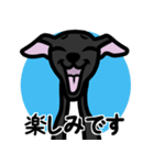 【ブラック4】1年中使えるイタグレスタンプ（個別スタンプ：16）
