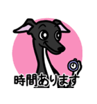 【ブラック4】1年中使えるイタグレスタンプ（個別スタンプ：21）