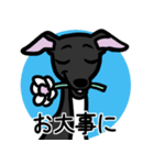 【ブラック4】1年中使えるイタグレスタンプ（個別スタンプ：23）