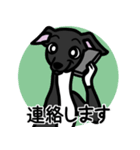 【ブラック4】1年中使えるイタグレスタンプ（個別スタンプ：24）