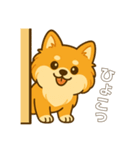 ポメのモコちゃんかわいいね①（個別スタンプ：5）
