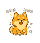 ポメのモコちゃんかわいいね①（個別スタンプ：9）
