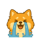 ポメのモコちゃんかわいいね①（個別スタンプ：10）