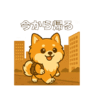 ポメのモコちゃんかわいいね①（個別スタンプ：11）