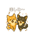ポメのモコちゃんかわいいね①（個別スタンプ：16）