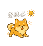 ポメのモコちゃんかわいいね①（個別スタンプ：21）