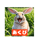 うさぎ感情ずかん（個別スタンプ：6）