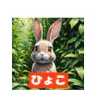 うさぎ感情ずかん（個別スタンプ：34）