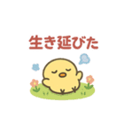 CS✨なんかやんでるぴよー（個別スタンプ：6）