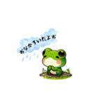 不思議なかえるの日常生活（個別スタンプ：13）