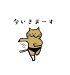 ねこのプロレス（個別スタンプ：2）