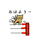 ねこのプロレス（個別スタンプ：3）