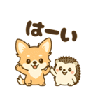 ワ-ちゃん＆ハリちゃんのstory（個別スタンプ：1）