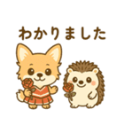 ワ-ちゃん＆ハリちゃんのstory（個別スタンプ：13）