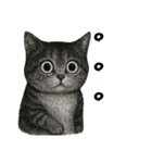 絶望！びっくり猫スタンプ（個別スタンプ：3）