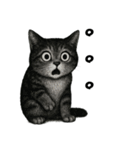 絶望！びっくり猫スタンプ（個別スタンプ：13）