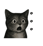 絶望！びっくり猫スタンプ（個別スタンプ：18）