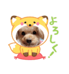 着ぐるみ❤クレオ君とマリーちゃん（個別スタンプ：1）