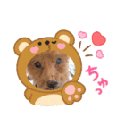 着ぐるみ❤クレオ君とマリーちゃん（個別スタンプ：2）