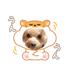 着ぐるみ❤クレオ君とマリーちゃん（個別スタンプ：4）