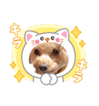 着ぐるみ❤クレオ君とマリーちゃん（個別スタンプ：6）