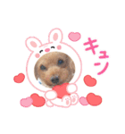着ぐるみ❤クレオ君とマリーちゃん（個別スタンプ：7）