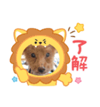 着ぐるみ❤クレオ君とマリーちゃん（個別スタンプ：10）