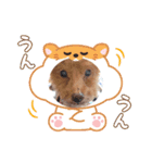 着ぐるみ❤クレオ君とマリーちゃん（個別スタンプ：11）