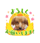 着ぐるみ❤クレオ君とマリーちゃん（個別スタンプ：14）