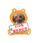 着ぐるみ❤クレオ君とマリーちゃん（個別スタンプ：16）
