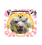 着ぐるみ❤クレオ君とマリーちゃん（個別スタンプ：36）
