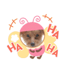 着ぐるみ❤クレオ君とマリーちゃん（個別スタンプ：40）