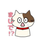 ねこじゃんじゃん（個別スタンプ：9）