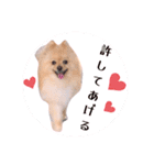 笑顔♡春♡ポメ推しスタンプ（個別スタンプ：20）