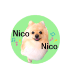 笑顔♡春♡ポメ推しスタンプ（個別スタンプ：35）