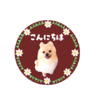 レトロ風♡春♡ポメ推しスタンプ（個別スタンプ：2）