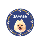 レトロ風♡春♡ポメ推しスタンプ（個別スタンプ：5）