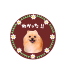 レトロ風♡春♡ポメ推しスタンプ（個別スタンプ：9）