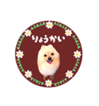 レトロ風♡春♡ポメ推しスタンプ（個別スタンプ：11）