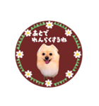 レトロ風♡春♡ポメ推しスタンプ（個別スタンプ：12）