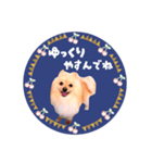 レトロ風♡春♡ポメ推しスタンプ（個別スタンプ：14）
