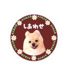 レトロ風♡春♡ポメ推しスタンプ（個別スタンプ：18）