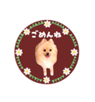 レトロ風♡春♡ポメ推しスタンプ（個別スタンプ：25）