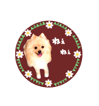 レトロ風♡春♡ポメ推しスタンプ（個別スタンプ：27）