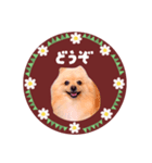 レトロ風♡春♡ポメ推しスタンプ（個別スタンプ：28）