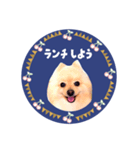 レトロ風♡春♡ポメ推しスタンプ（個別スタンプ：29）