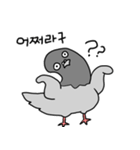 澄んだ目の鳩（個別スタンプ：3）