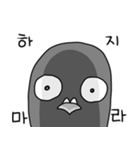 澄んだ目の鳩（個別スタンプ：4）