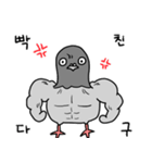 澄んだ目の鳩（個別スタンプ：6）